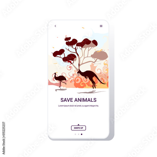 australian animals ostrich kangaroo running from forest fires in australia wildfire bushfire burning trees natural disaster concept intense orange flames smartphone screen mobile app vector