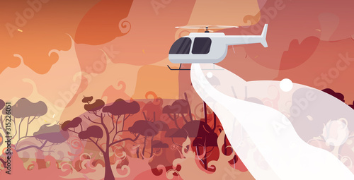 helicopter extinguishes dangerous wildfire in australia fighting bushfire dry woods burning trees firefighting natural disaster concept intense orange flames horizontal vector illustration
