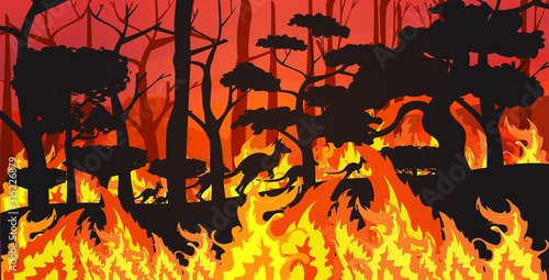 silhouettes of kangaroos running from forest fires in australia animals dying in wildfire bushfire burning trees natural disaster concept intense orange flames horizontal vector illustration