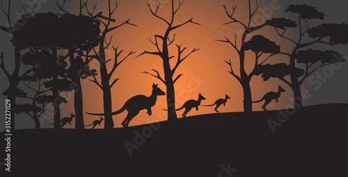 silhouettes of kangaroos running from forest fires in australia animals dying in wildfire bushfire natural disaster concept horizontal vector illustration