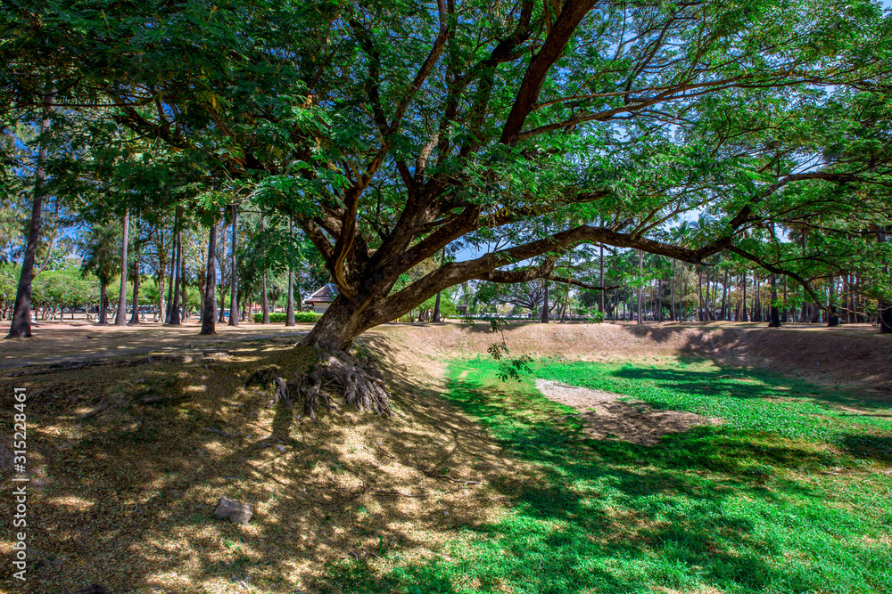 Fototapeta premium Background, the landmark of the Buddhist tourist attraction in Sukhothai Historical Park, tourists all over the world come to see the beauty always in Thailand.