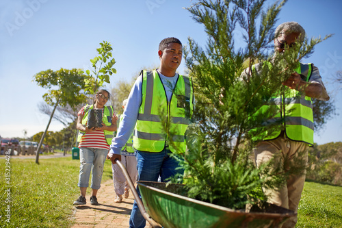 Volunteers planting trees in sunny park