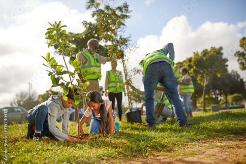 Volunteers planting trees in sunny park