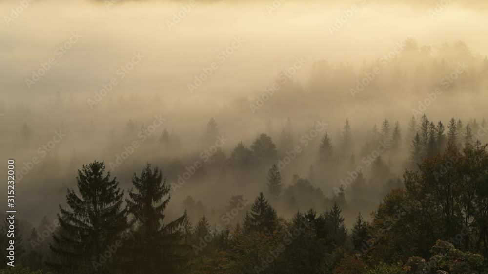 Aerial view of fog in the forest, Pupplinger Au, Germany Aerial view of fog in the forest, Pupplinger Au, Germany