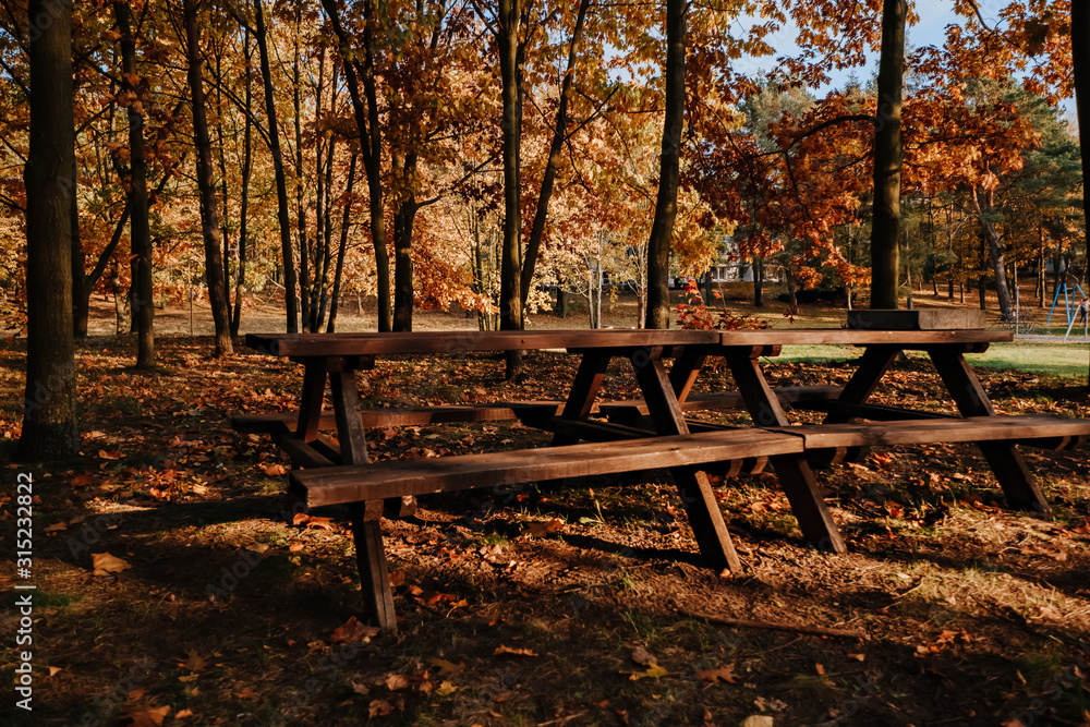 Picnic table in autumn park