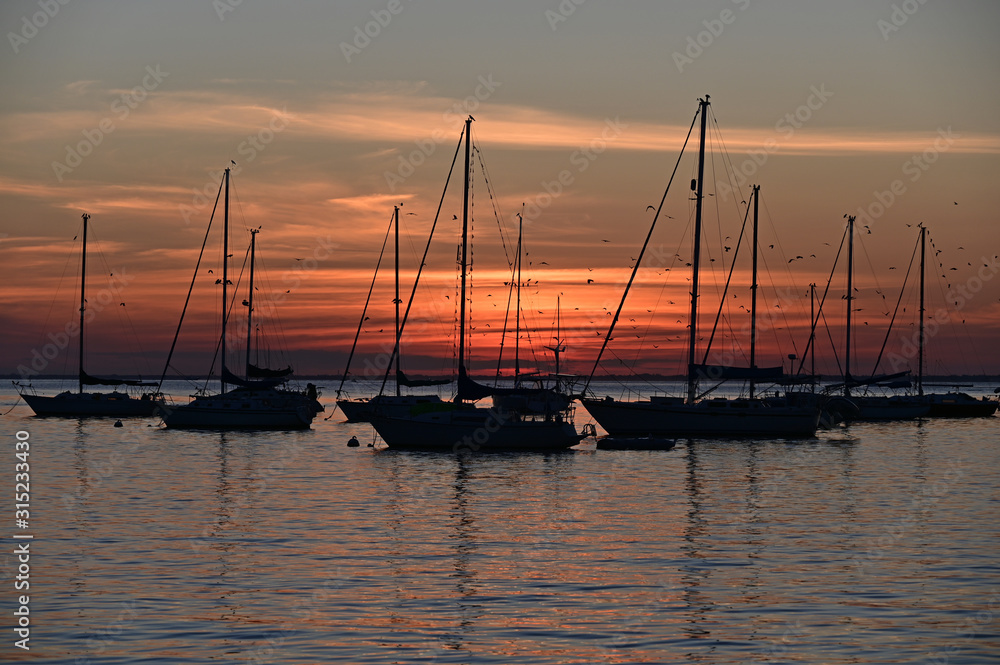 Sailboats anchored in Crandon Marina on Key Biscayne, Florida under colorful sky at sunset.