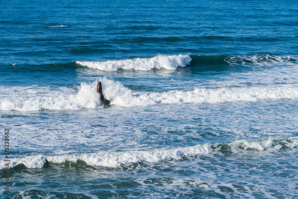 Fototapeta premium crashing waves on the beach