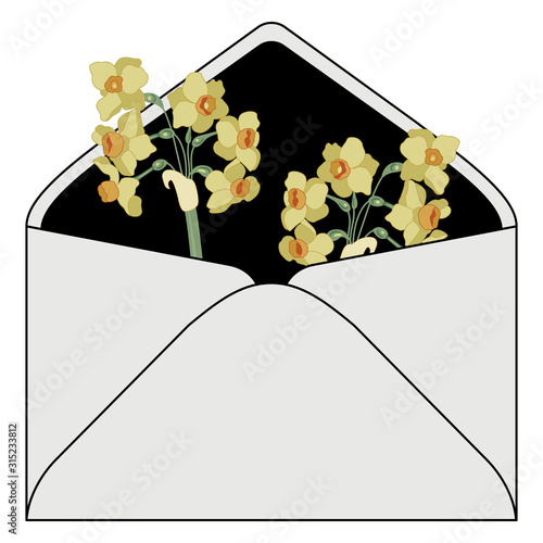 Isolated vector illustration. Paper envelope with branches of yellow narcissus or daffodil flower inside. Cute spring greeting.