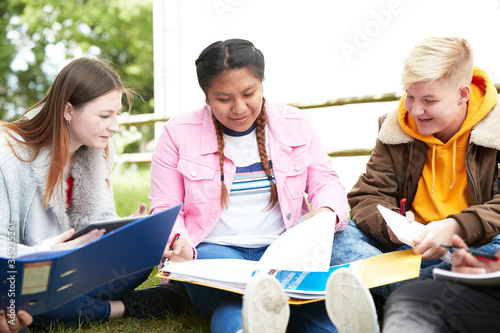 Young female college students studying in park photo