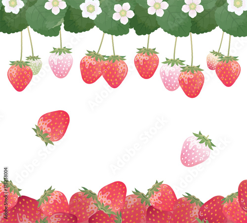 Strawberry watercolor style illustration