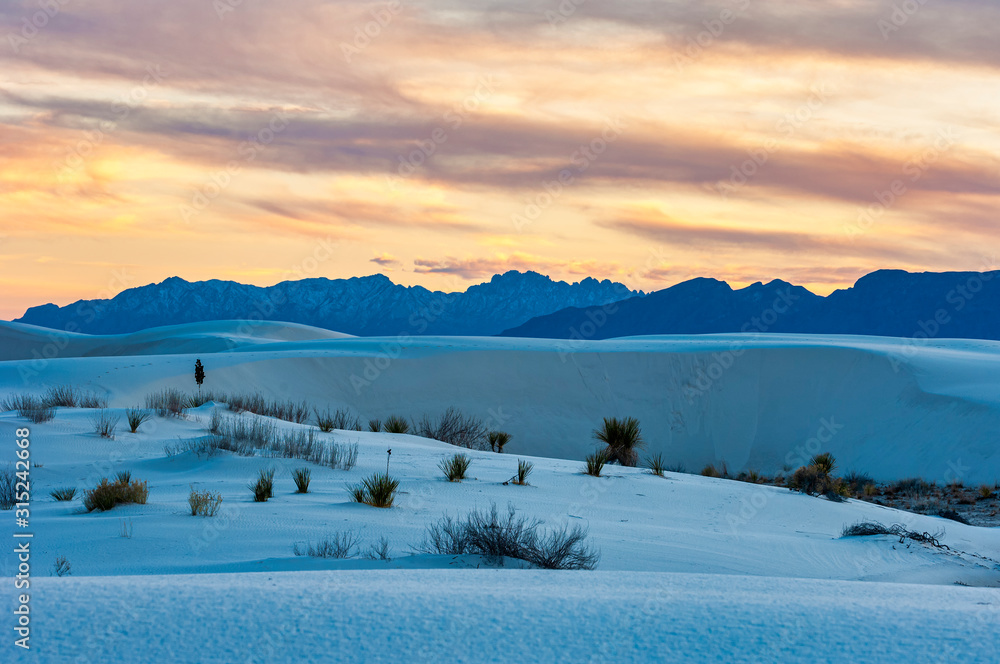 Fototapeta premium White Sands National Park Scenery 