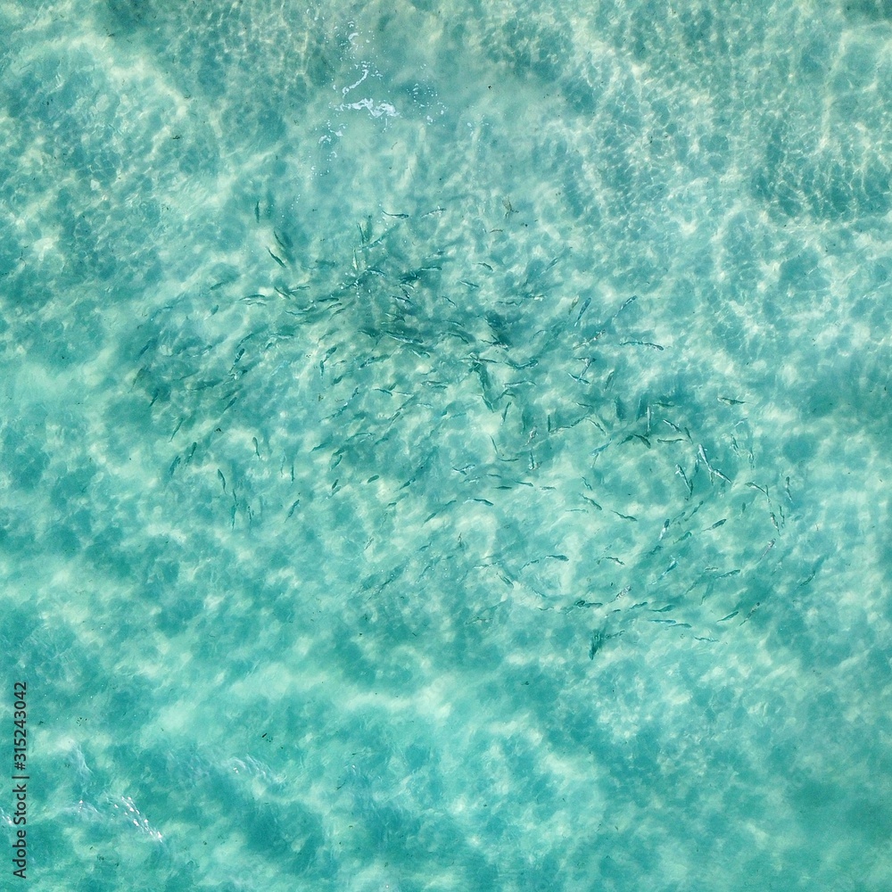 Obraz premium School