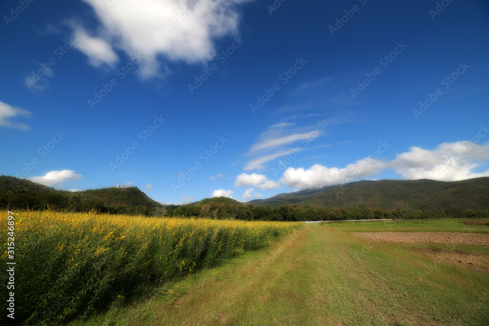 Peaceful landscape on blue sky background