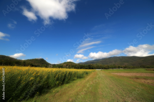 Peaceful landscape on blue sky background