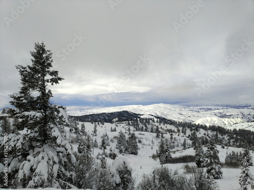 winter mountain landscape with trees and snow