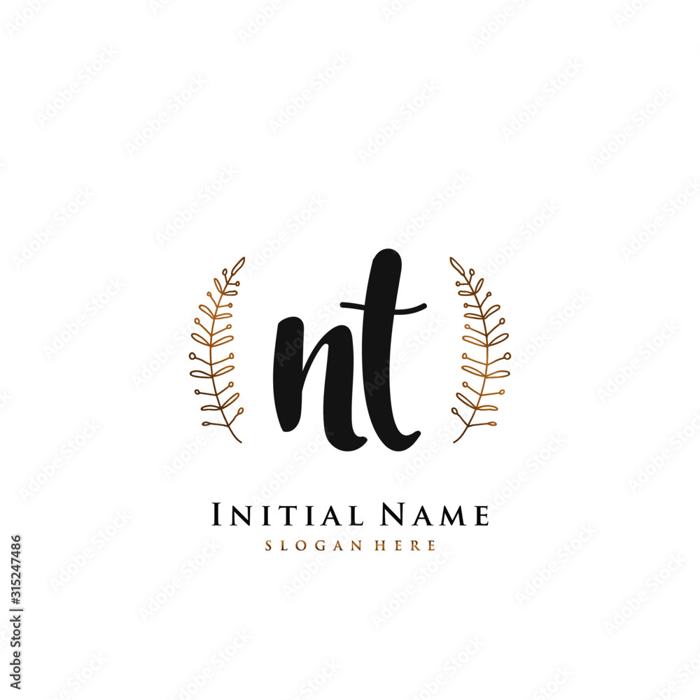 NT  Initial handwriting logo vector