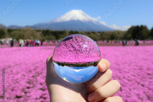 富士山　芝桜　水晶