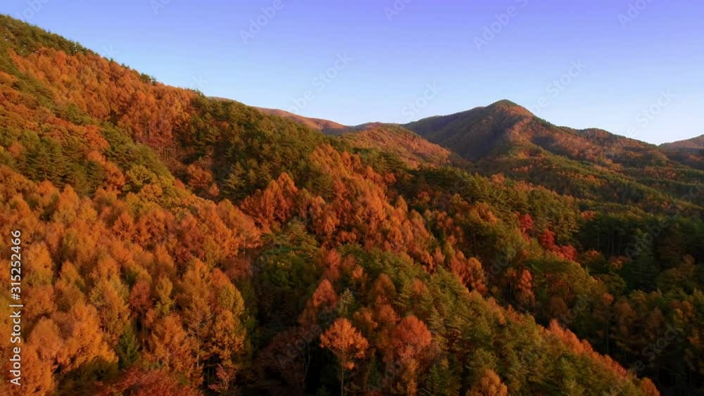 空撮 - 秋の紅葉と秋の山 長野 守屋山