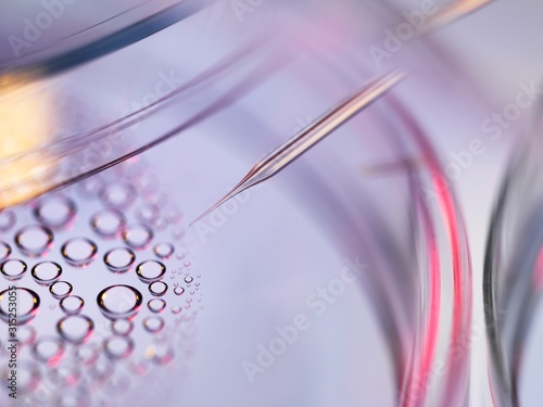 Stem Cell Research photo