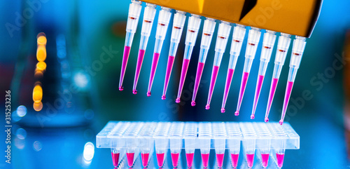 Multi channel pipette photo