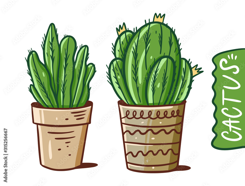 Two cactus in pots. Cartoon style vector illustration. Isolated on white background. Two cactus in pots. Cartoon style vector illustration. Isolated on white background.