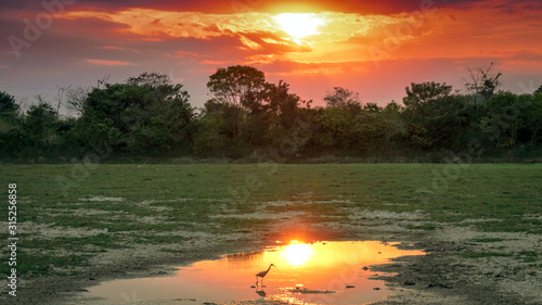 Photos La Garza Y Su Atardecer Llanero
