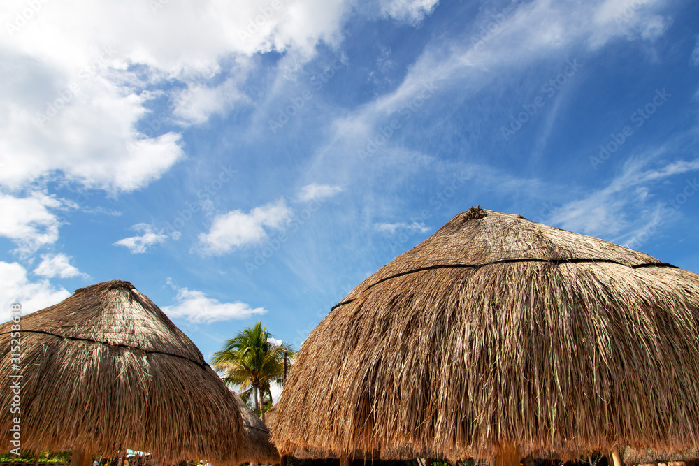 Coconut Palm Leaf Beach Umbrella With Blue Sky and Copy Space Coconut Palm Leaf Beach Umbrella With Blue Sky and Copy Space