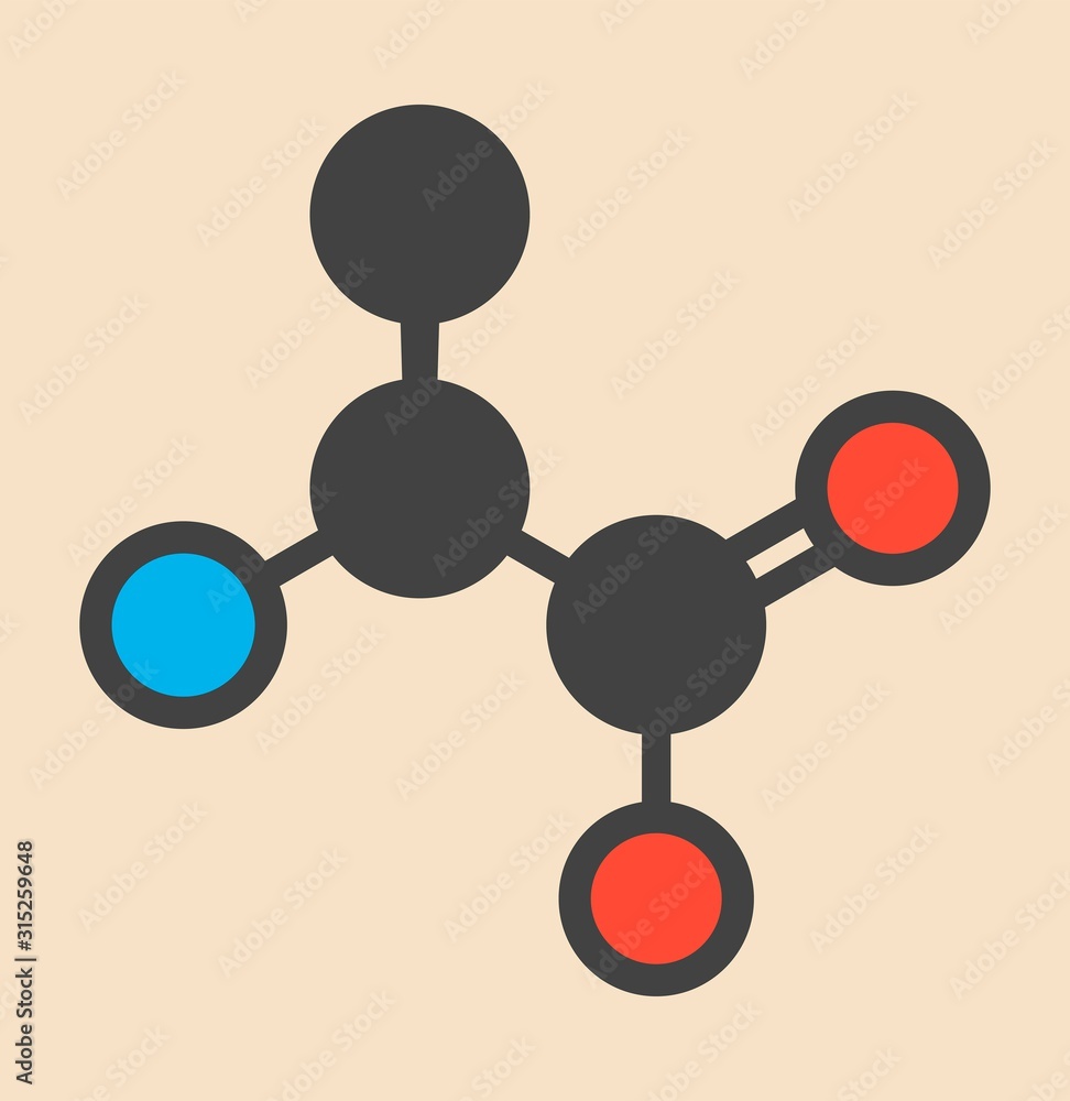 Alanine amino acid molecule