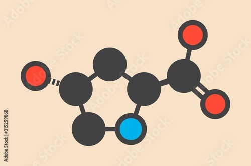 Hydroxyproline amino acid molecule
