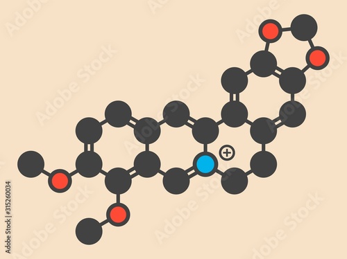 Berberine alkaloid molecule photo