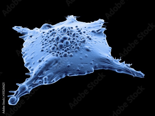 Cancer cell, illustration photo