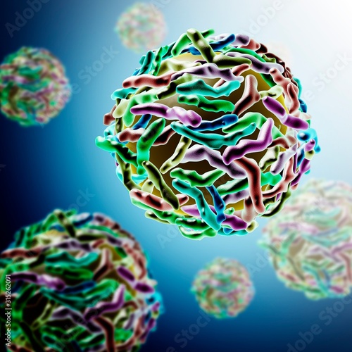Papilloma virus, illustration photo