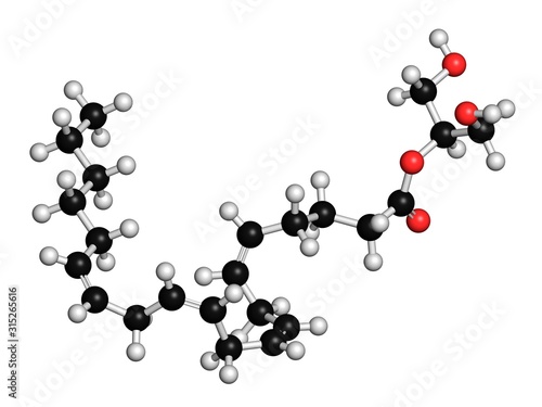 Endocannabinoid molecule, illustration