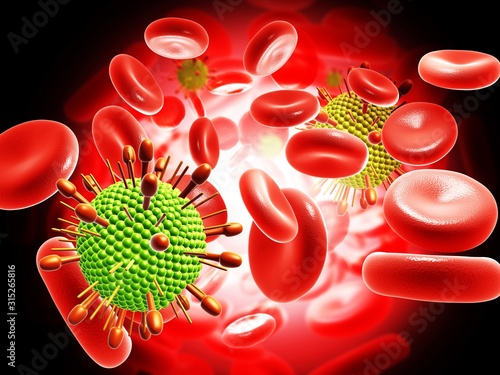 Paramyxovirus virus and blood cells photo