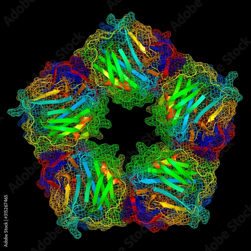 C-reactive protein, molecular model photo