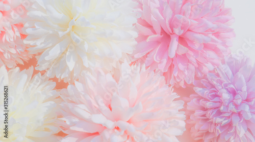 Beautiful abstract color white and pink flowers on white background and white flower frame and orange leaves background texture, flowers banner, pink background, colorful white banner happy valentine