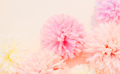Beautiful abstract color white and pink flowers on white background and white flower frame and orange leaves background texture, flowers banner, pink background, colorful white banner happy valentine