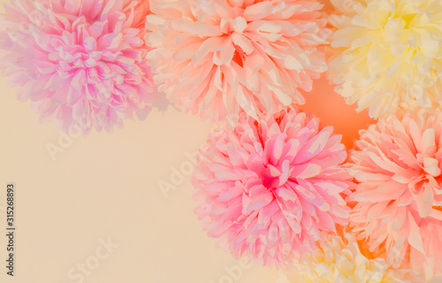 Beautiful abstract color white and pink flowers on white background and white flower frame and orange leaves background texture, flowers banner, pink background, colorful white banner happy valentine