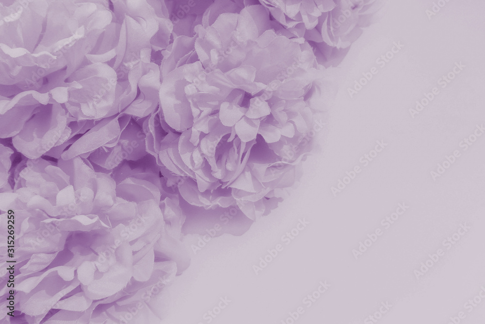Beautiful abstract color purple and blue flowers on white background and light  purple flower frame and purple leaves texture, purple background, light  purple banner happy valentine Stock Photo | Adobe Stock