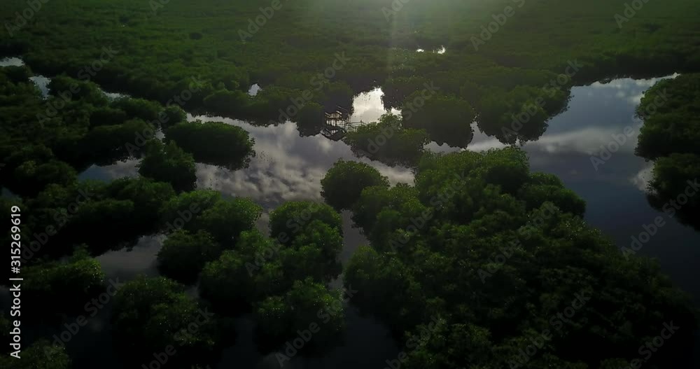 sunset reflection of the mangroves from above in the philippines right sunset reflection of the mangroves from above in the philippines right
