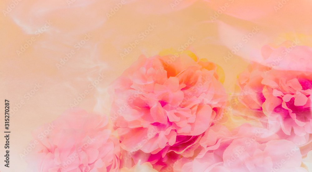 Beautiful abstract color purple and pink flowers on yellow background and white and orange flower frame and pink leaves texture, white background, colorful banner happy valentine