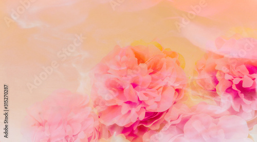 Fototapeta Naklejka Na Ścianę i Meble -  Beautiful abstract color purple and pink flowers on yellow background and white and orange flower frame and pink leaves texture, white background, colorful banner happy valentine