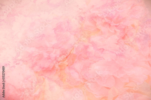 Beautiful abstract color purple and pink flowers on yellow background and white and orange flower frame and pink leaves texture, white background, colorful banner happy valentine