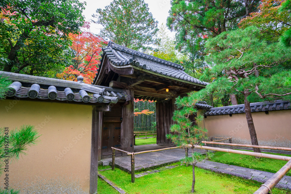 京都　高桐院の紅葉　