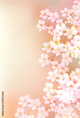 桜　春　花　背景