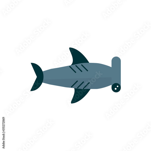 marine life  hammerhead shark cartoon sea fauna animal
