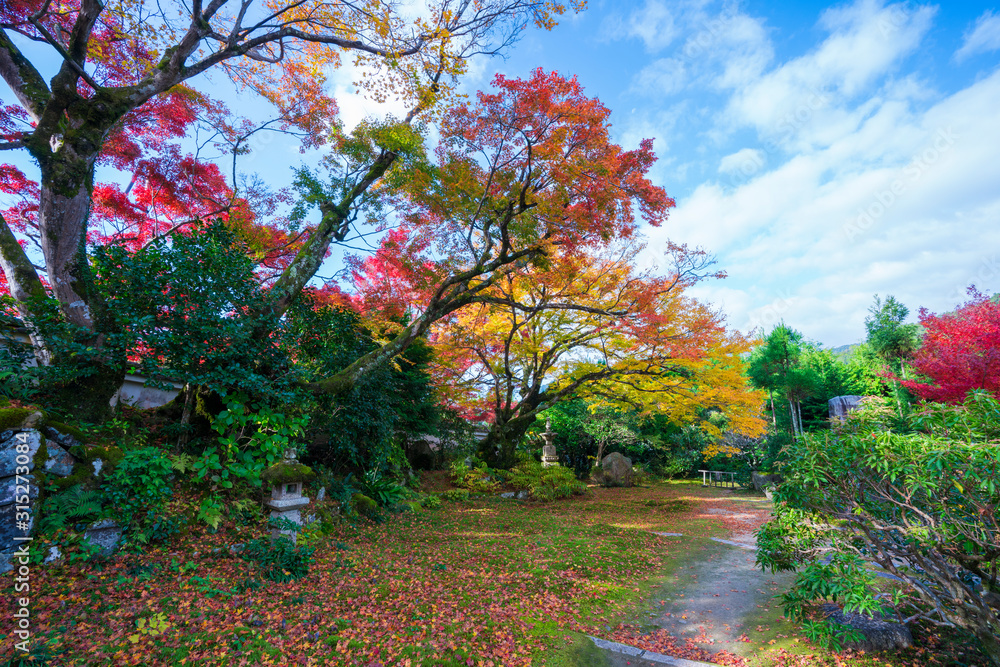 Naklejka premium 京都 大原 実光院の紅葉