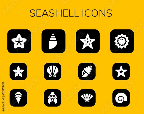 seashell icon set