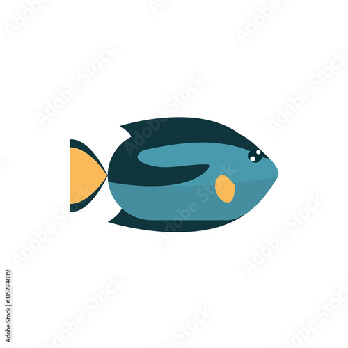 marine life, fish cartoon sea fauna animal