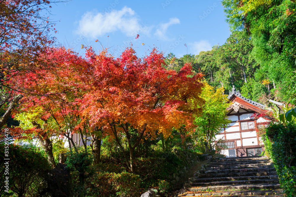 京都 正伝寺(しょうでんじ)の紅葉 京都 正伝寺(しょうでんじ)の紅葉